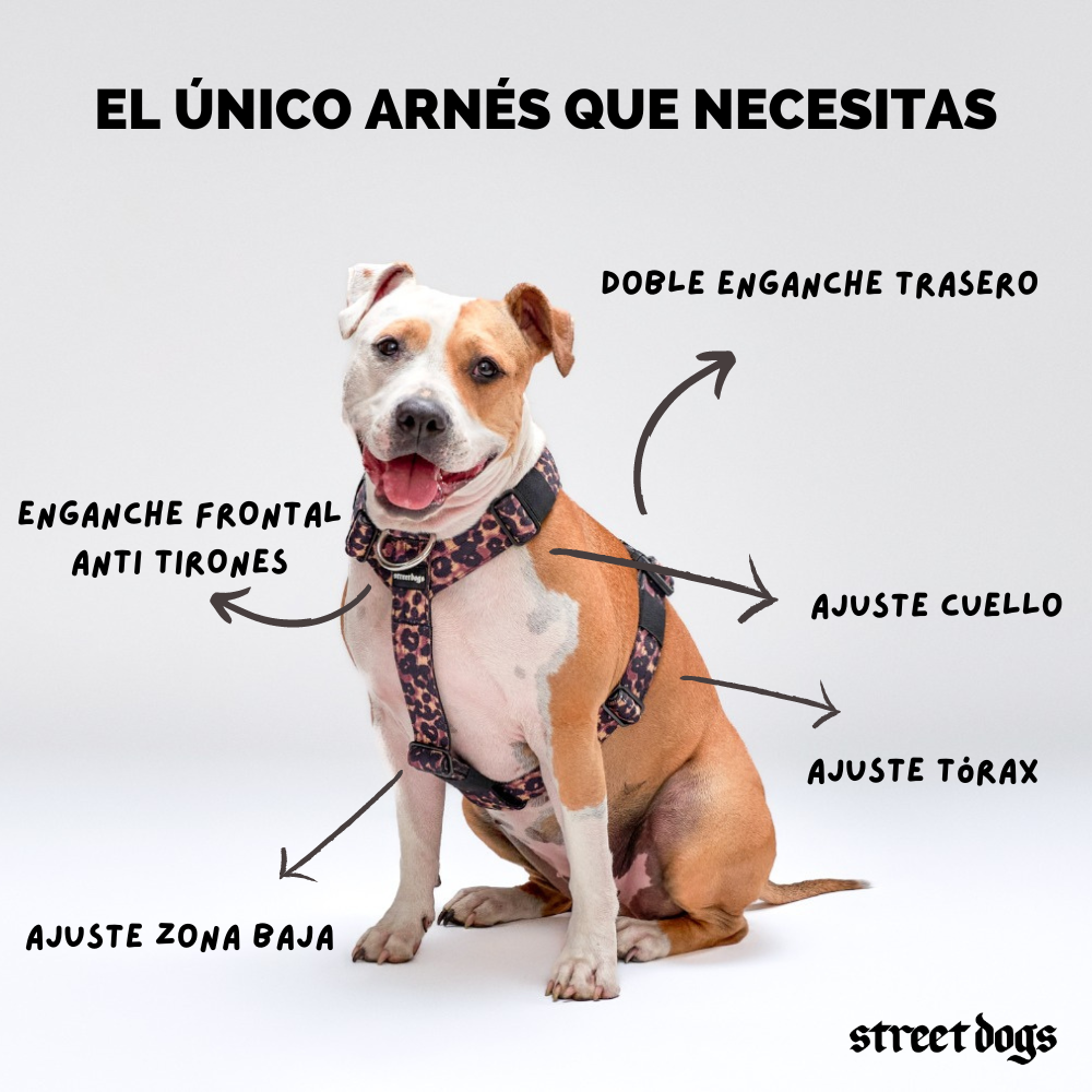 Arnés Strap para Perros - MODELO ANTIGUO -  Street Dogs - Pink