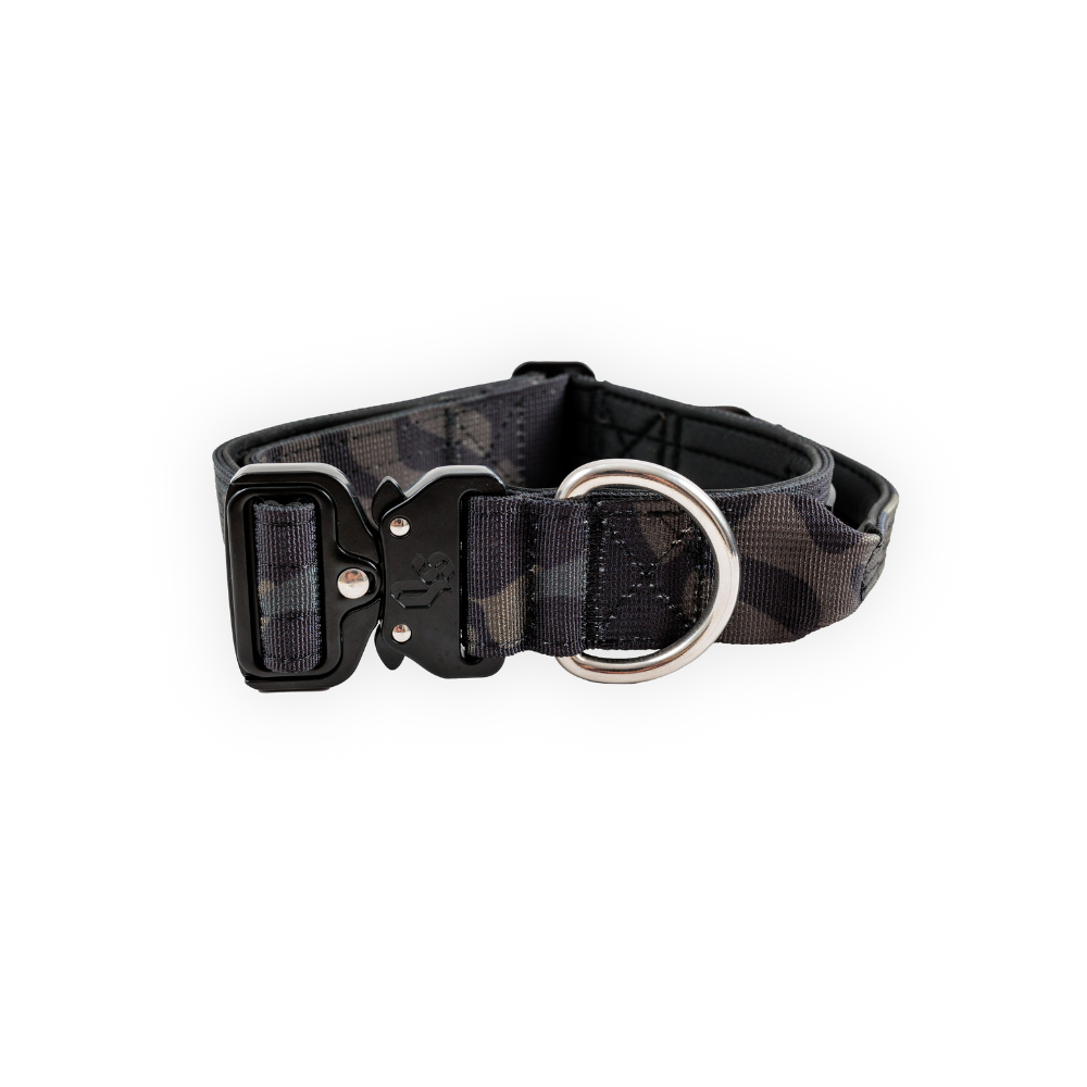 Collar Combat 4 cm para Perros - Street Dogs - Black Camouflage