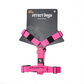 Arnés Strap para Perros - Street Dogs - Pink