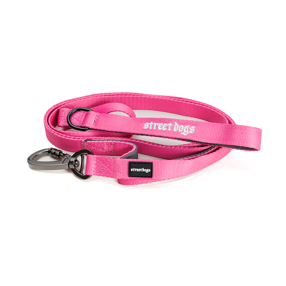 Correa de Adiestramiento para Perros | 1,8 mts | Pink