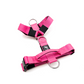 Arnés Strap para Perros - Street Dogs - Pink