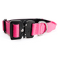 Collar Mini Combat 2,5 cm para Perros - Street Dogs - Pink