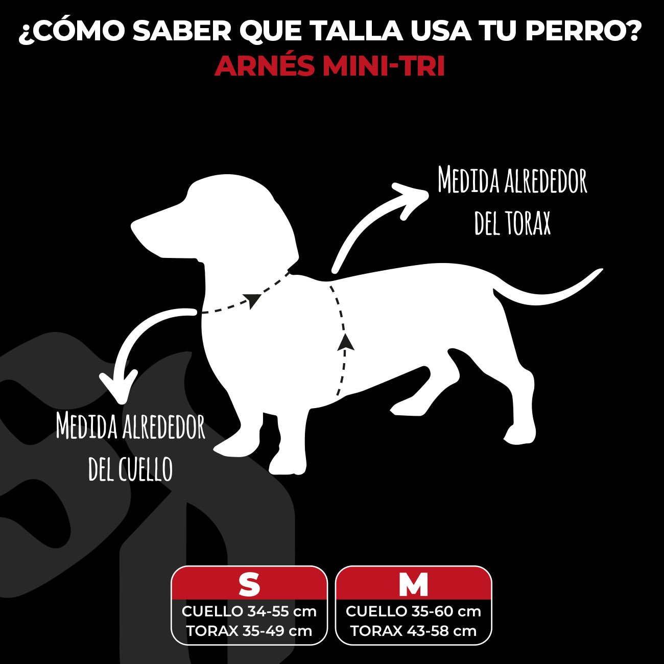 Arnés Mini-Strap para Perros - Street Dogs - Red