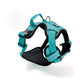 Arnés Comfort para Perros - Street Dogs - Turquoise