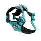 Arnés Comfort para Perros - Street Dogs - Turquoise