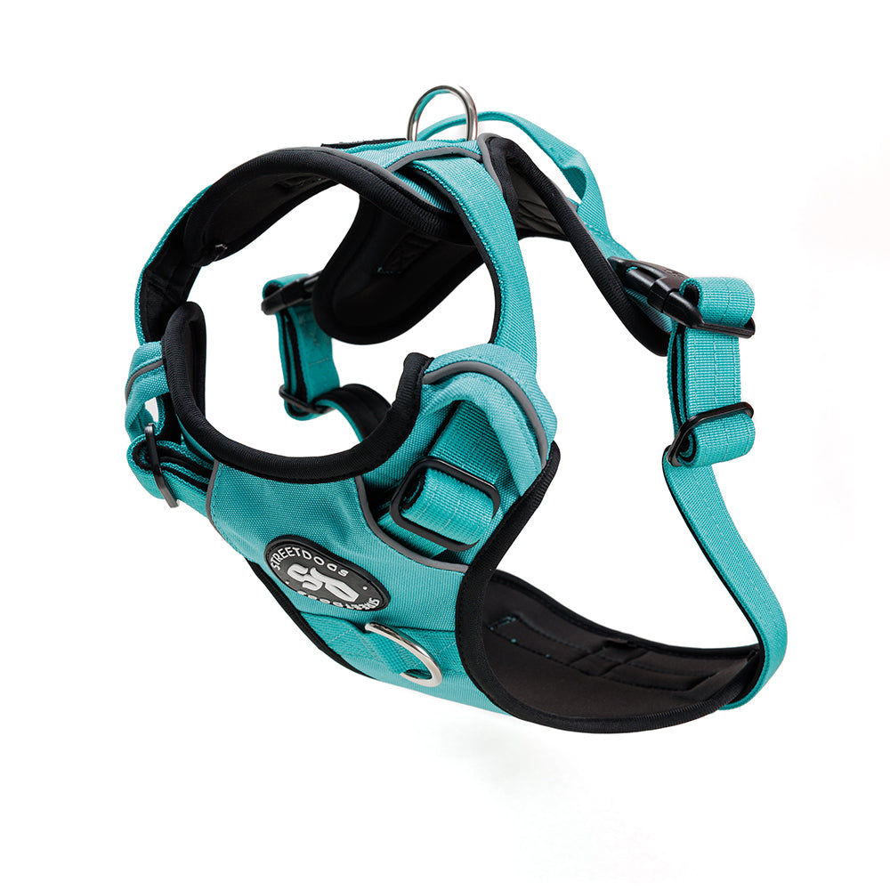 Arnés Comfort para Perros - Street Dogs - Turquoise