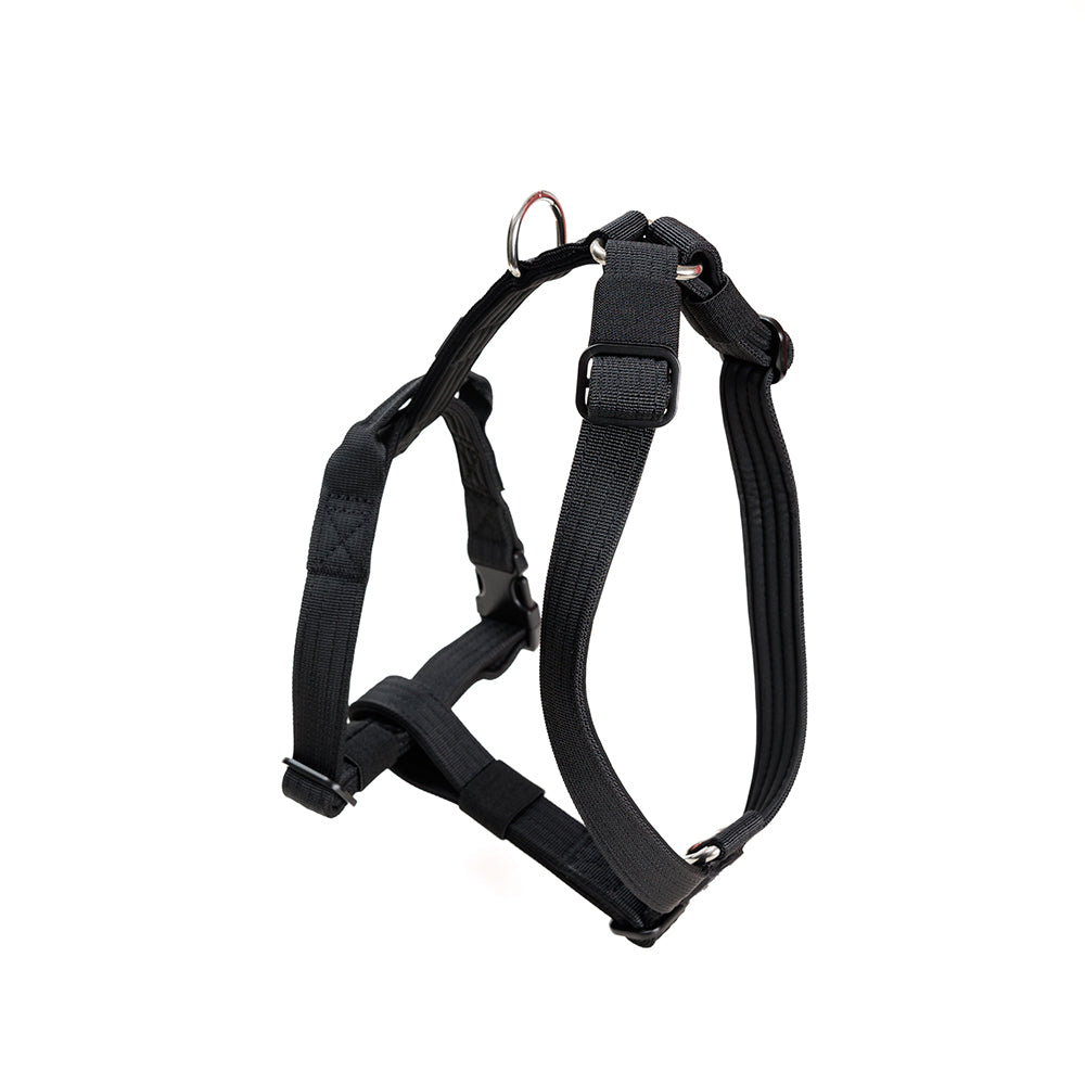 Arnés Mini-Strap para Perros - Street Dogs - Black