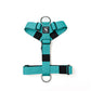 Arnés Strap para Perros - Street Dogs - Turquoise