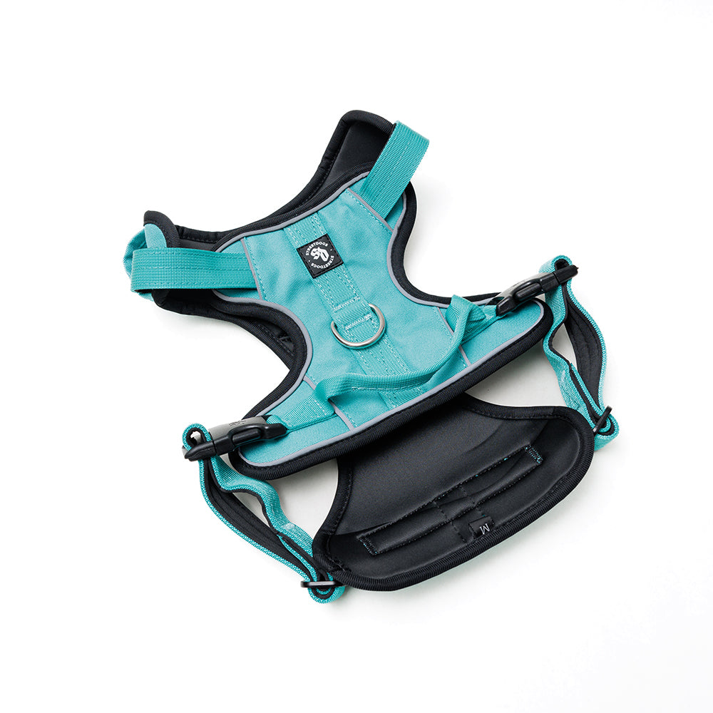 Arnés Comfort para Perros - Street Dogs - Turquoise