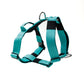 Arnés Strap para Perros - Street Dogs - Turquoise