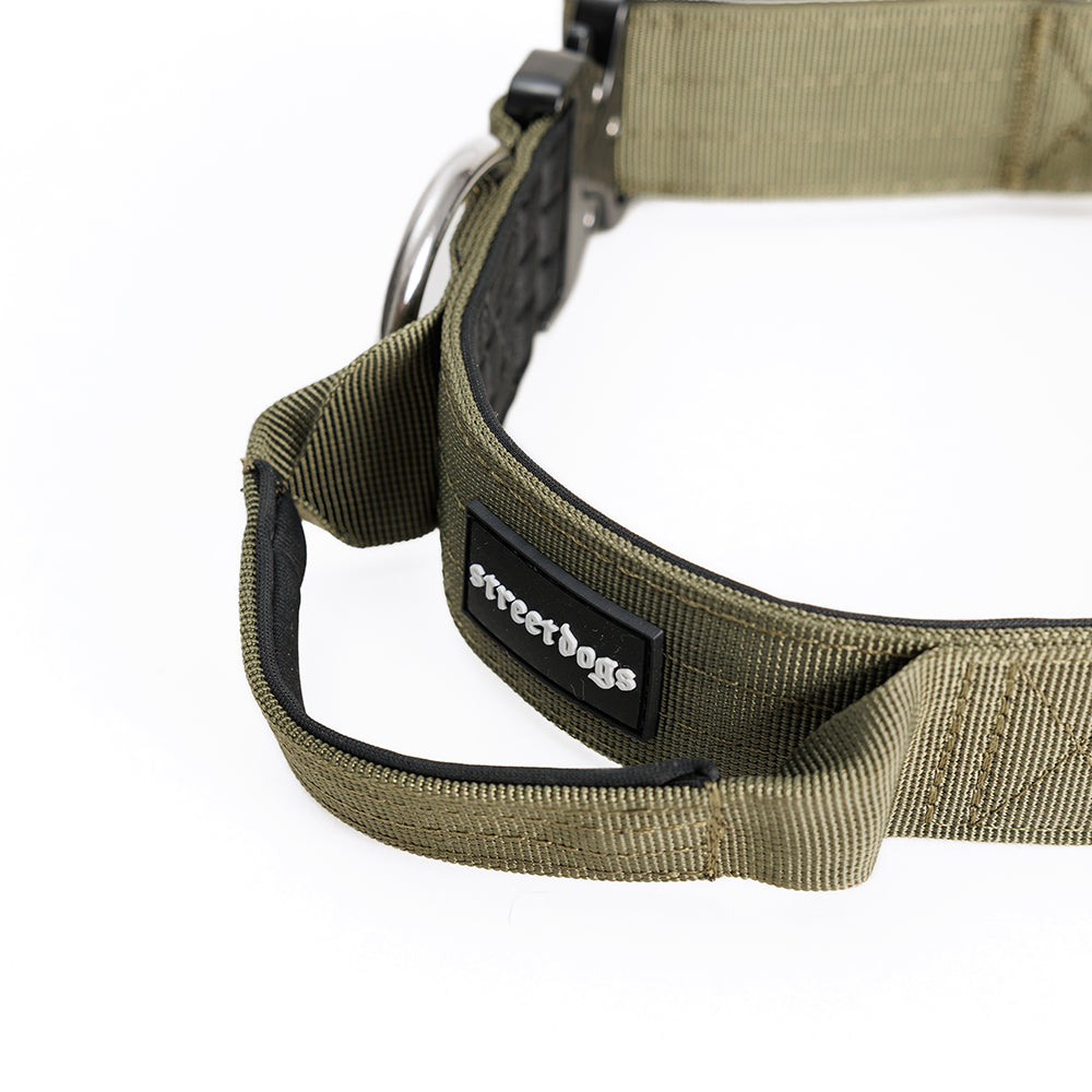 Collar Combat 4 cm para Perros - Street Dogs - Khaki