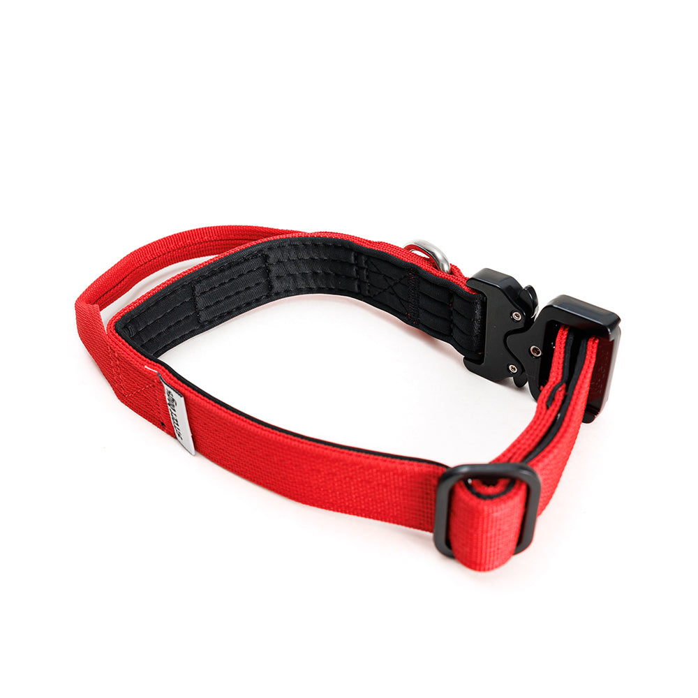 Collar Mini Combat 2,5 cm para Perros - Street Dogs - Red