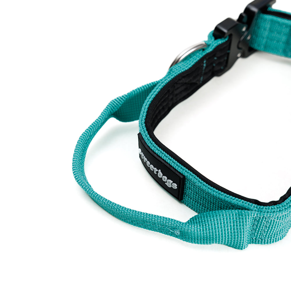 Collar Mini Combat 2,5 cm para Perros - Street Dogs - Turquoise