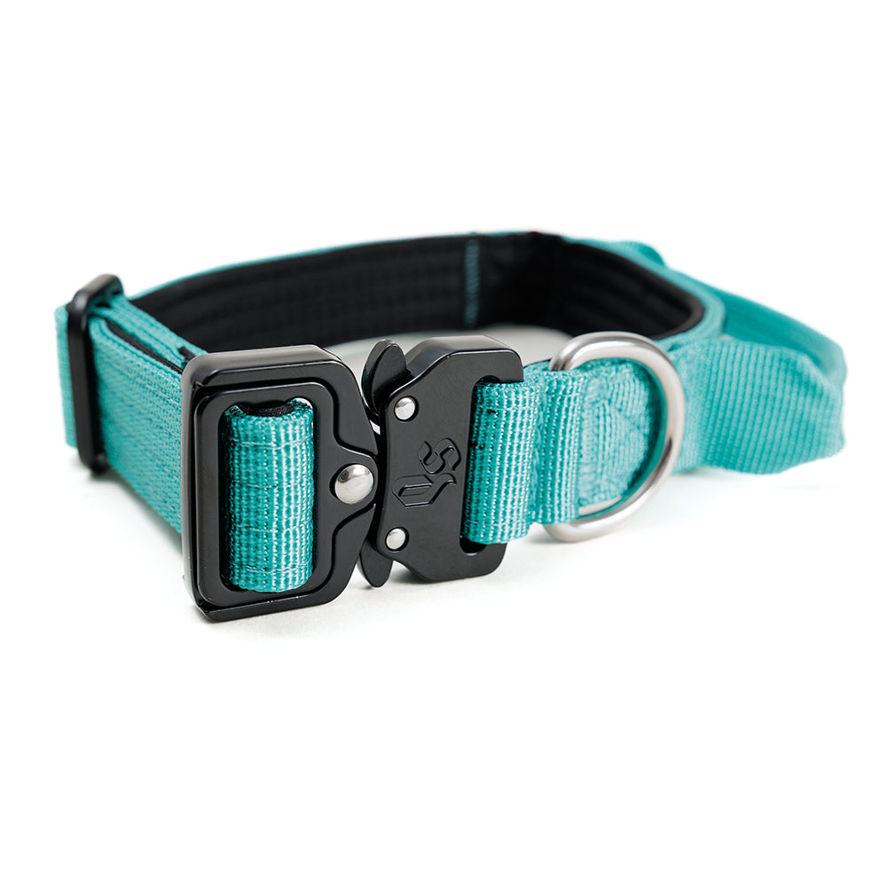 Collar Mini Combat 2,5 cm para Perros - Street Dogs - Turquoise