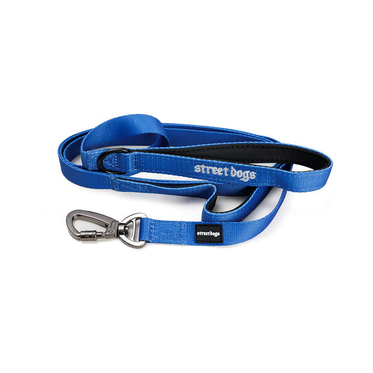 Correa de Adiestramiento para Perros | 1,8 mts | Blue