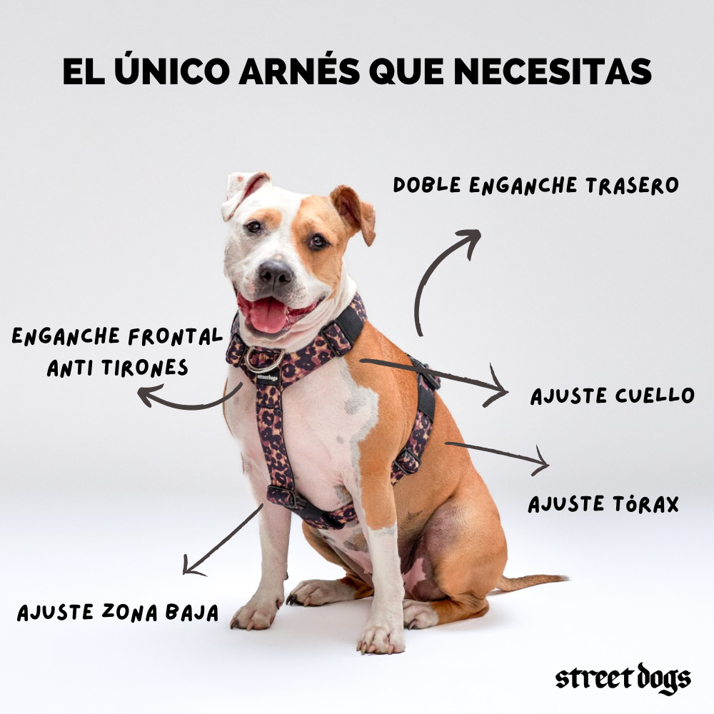 Arnés Strap para Perros - Street Dogs - Animal Print