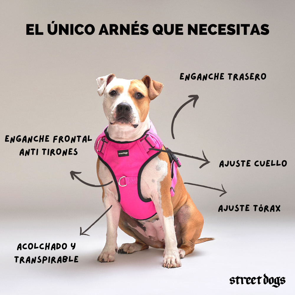 Arnés Comfort para Perros - Street Dogs - Pink