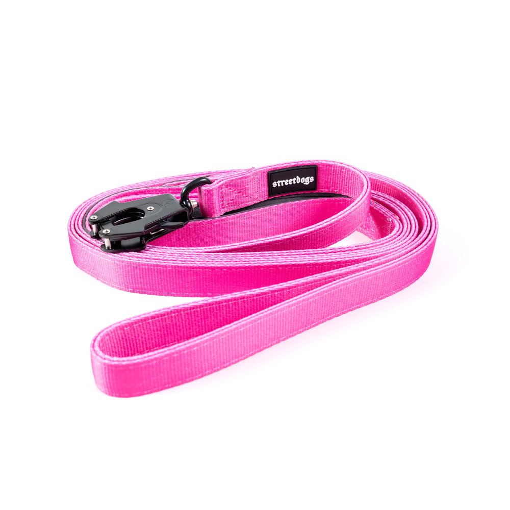 Correa Larga para Perros - Tactic | 5 mts | Pink