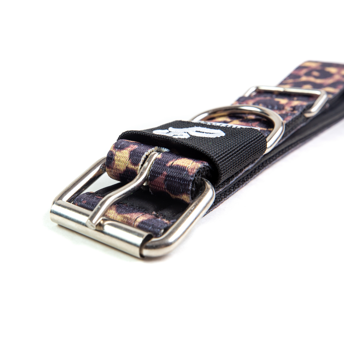 Collar Regular 3,8 cm para Perros -  Street Dogs - Animal Print