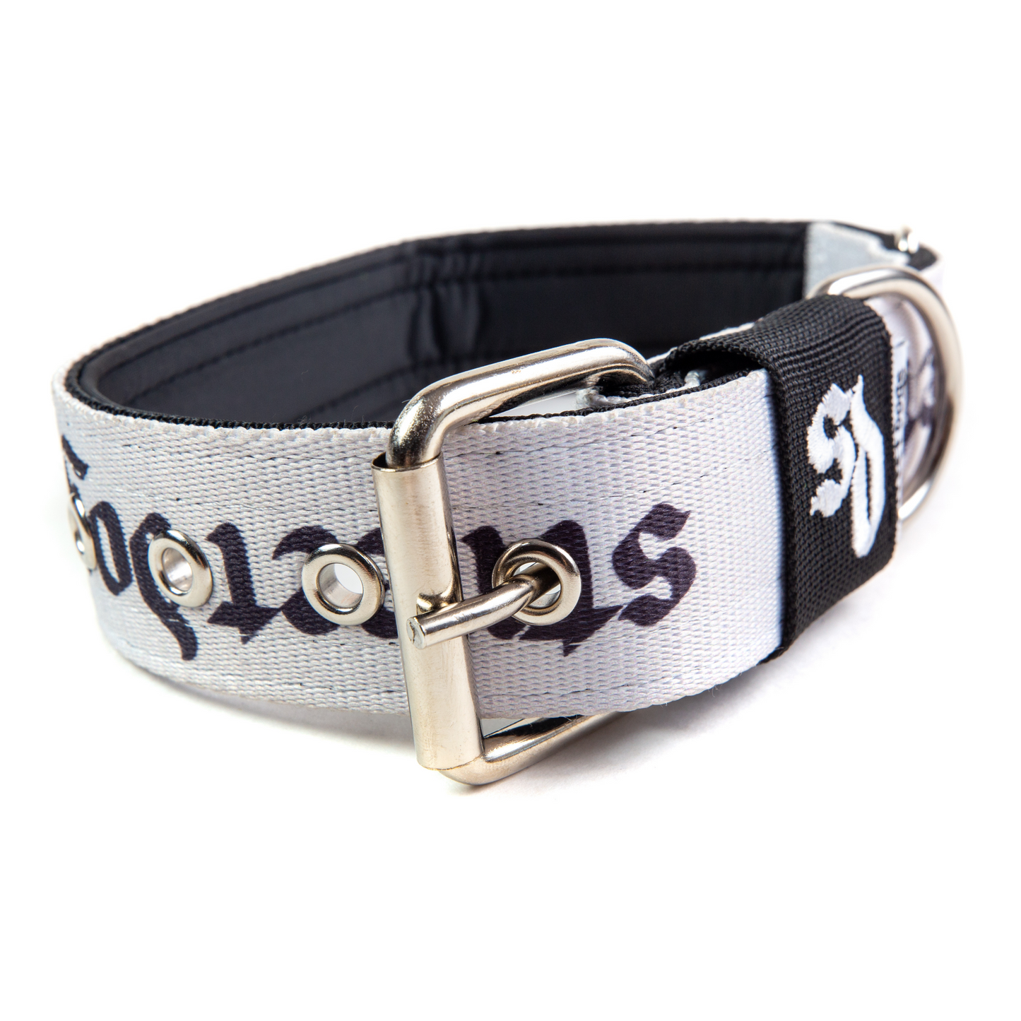 Collar Regular 3,8 cm para Perros - Street Dogs - White