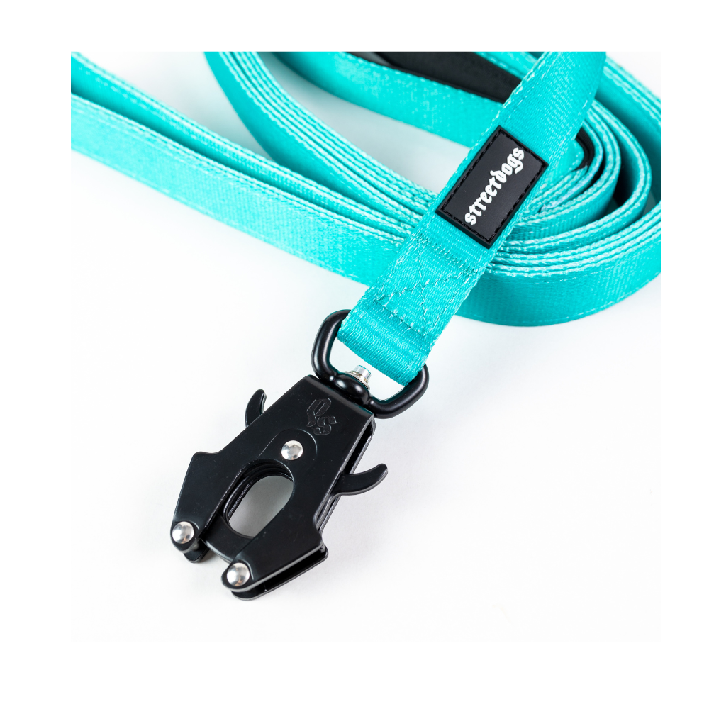 Correa Larga para Perros - Tactic | 5 mts | Turquoise