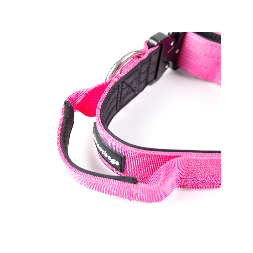 Collar Combat 4 cm para Perros - Street Dogs - Pink