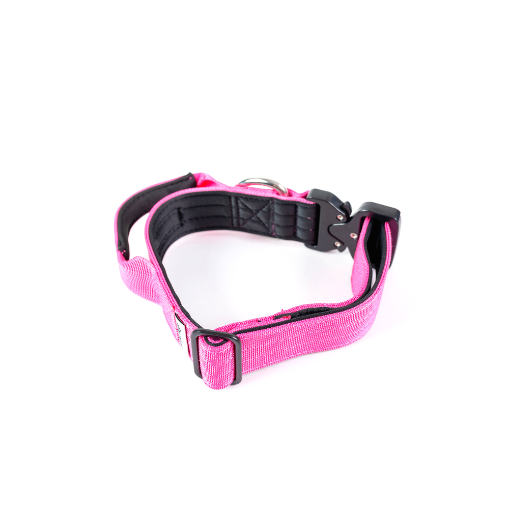 Collar Combat 4 cm para Perros - Street Dogs - Pink