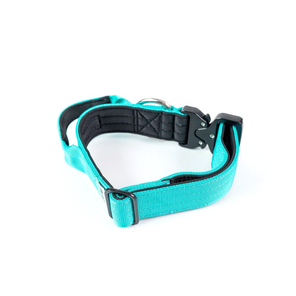 Collar Combat 4 cm para Perros - Street Dogs - Turquoise